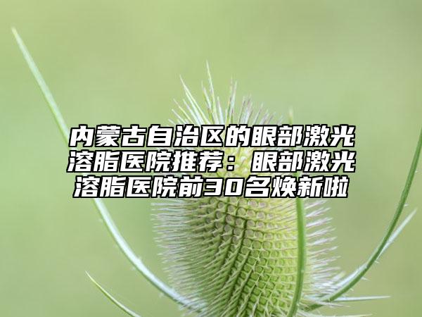 內(nèi)蒙古自治區(qū)的眼部激光溶脂醫(yī)院推薦：眼部激光溶脂醫(yī)院前30名煥新啦