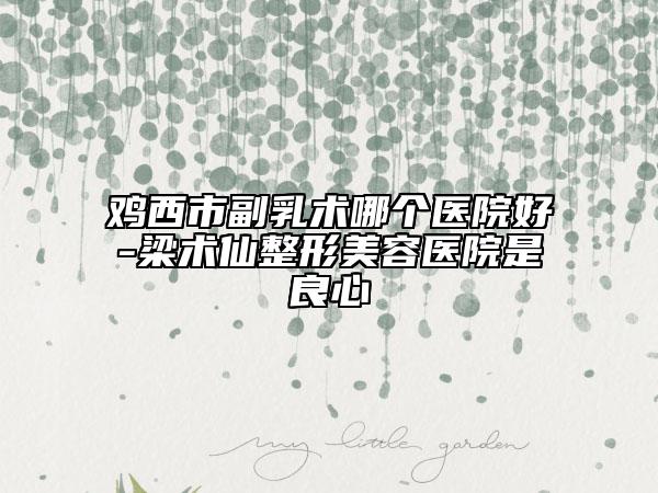 雞西市副乳術(shù)哪個醫(yī)院好-梁術(shù)仙整形美容醫(yī)院是良心