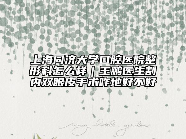 上海同濟大學口腔醫(yī)院整形科怎么樣｜王鵬醫(yī)生割內(nèi)雙眼皮手術(shù)咋地好不好