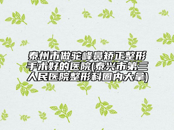 泰州市做駝峰鼻矯正整形手術(shù)好的醫(yī)院(泰興市第三人民醫(yī)院整形科圈內(nèi)大拿)