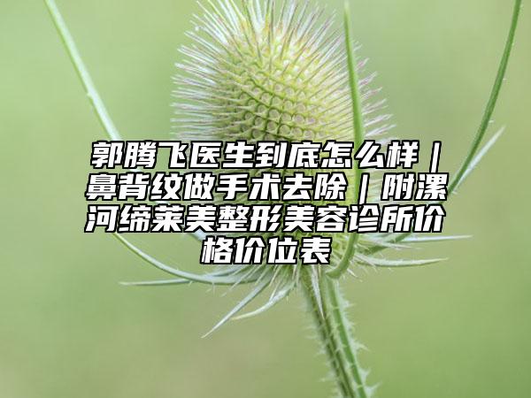 郭騰飛醫(yī)生到底怎么樣|鼻背紋做手術(shù)去除|附漯河締萊美整形美容診所價格價位表