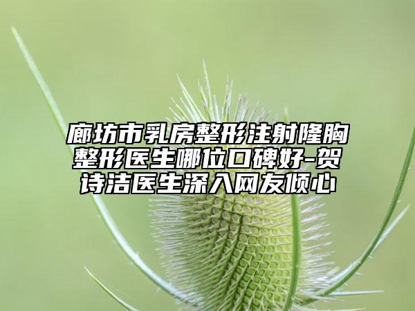 廊坊市乳房整形注射隆胸整形醫(yī)生哪位口碑好-賀詩(shī)潔醫(yī)生深入網(wǎng)友傾心