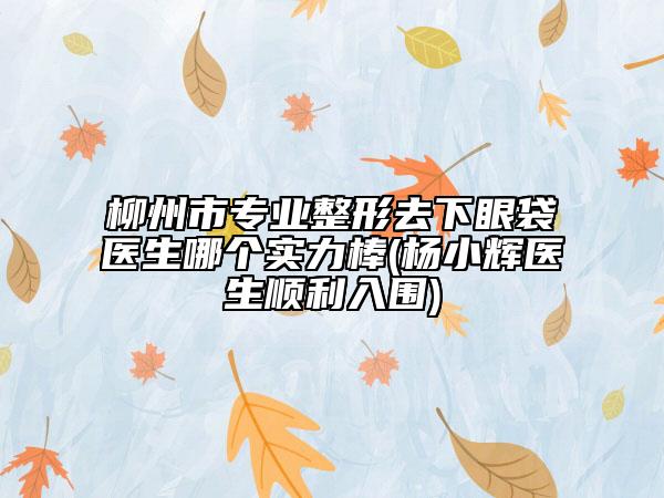 柳州市專業(yè)整形去下眼袋醫(yī)生哪個實(shí)力棒(楊小輝醫(yī)生順利入圍)