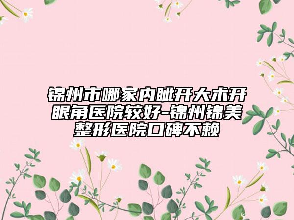 錦州市哪家內(nèi)眥開(kāi)大術(shù)開(kāi)眼角醫(yī)院較好-錦州錦美整形醫(yī)院口碑不賴