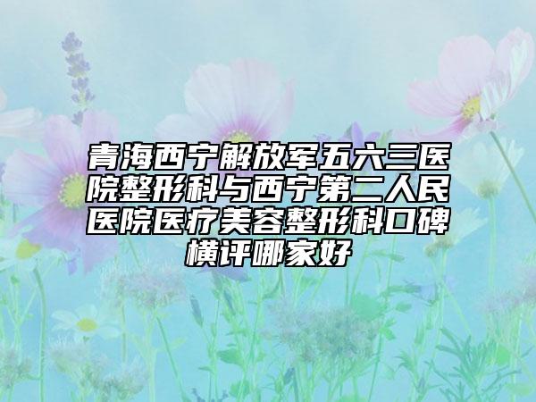 青海西寧解放軍五六三醫(yī)院整形科與西寧第二人民醫(yī)院醫(yī)療美容整形科口碑橫評(píng)哪家好