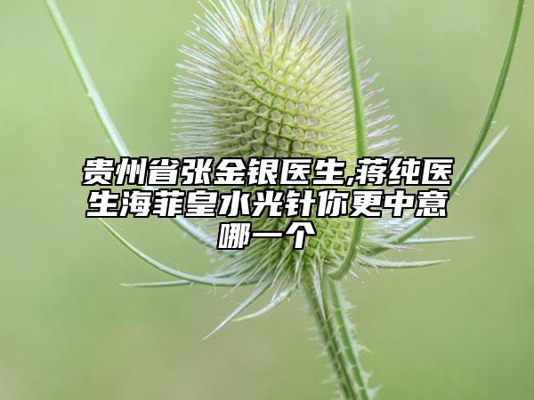 貴州省張金銀醫(yī)生,蔣純醫(yī)生海菲皇水光針你更中意哪一個(gè)