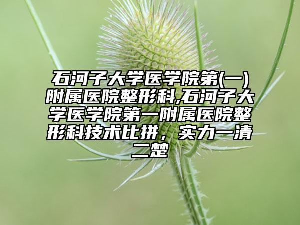 石河子大學醫(yī)學院第(一)附屬醫(yī)院整形科,石河子大學醫(yī)學院第一附屬醫(yī)院整形科技術比拼，實力一清二楚