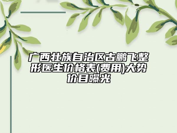 廣西壯族自治區(qū)古鵬飛整形醫(yī)生價格表(費用)大勢價目曝光