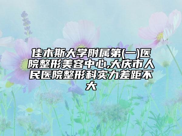 佳木斯大學(xué)附屬第(一)醫(yī)院整形美容中心,大慶市人民醫(yī)院整形科實(shí)力差距不大