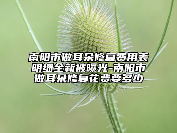 南陽市做耳朵修復(fù)費(fèi)用表明細(xì)全新被曝光-南陽市做耳朵修復(fù)花費(fèi)要多少