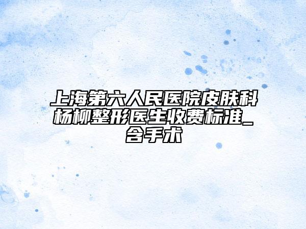 上海第六人民醫(yī)院皮膚科楊柳整形醫(yī)生收費標準_含手術(shù)