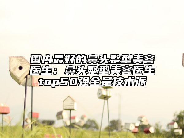 國內最好的鼻頭整型美容醫(yī)生:鼻頭整型美容醫(yī)生top50強全是技術派