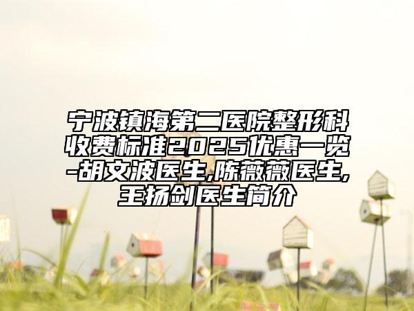 寧波鎮(zhèn)海第二醫(yī)院整形科收費標準2025優(yōu)惠一覽-胡文波醫(yī)生,陳薇薇醫(yī)生,王揚劍醫(yī)生簡介
