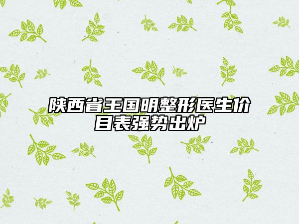 陜西省王國明整形醫(yī)生價目表強(qiáng)勢出爐