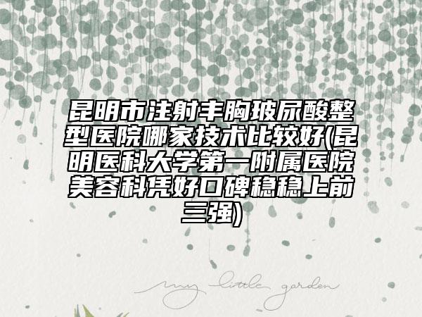 昆明市注射豐胸玻尿酸整型醫(yī)院哪家技術(shù)比較好(昆明醫(yī)科大學(xué)第一附屬醫(yī)院美容科憑好口碑穩(wěn)穩(wěn)上前三強(qiáng))