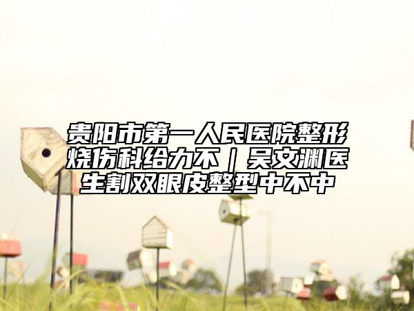 貴陽市第一人民醫(yī)院整形燒傷科給力不｜吳文淵醫(yī)生割雙眼皮整型中不中