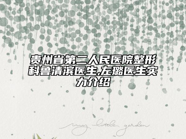 貴州省第二人民醫(yī)院整形科魯清濱醫(yī)生,左璐醫(yī)生實力介紹