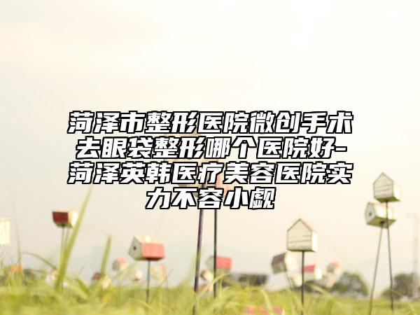 菏澤市整形醫(yī)院微創(chuàng)手術(shù)去眼袋整形哪個(gè)醫(yī)院好-菏澤英韓醫(yī)療美容醫(yī)院實(shí)力不容小覷