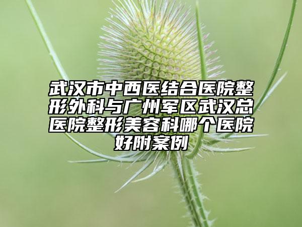 武漢市中西醫(yī)結(jié)合醫(yī)院整形外科與廣州軍區(qū)武漢總醫(yī)院整形美容科哪個醫(yī)院好附案例
