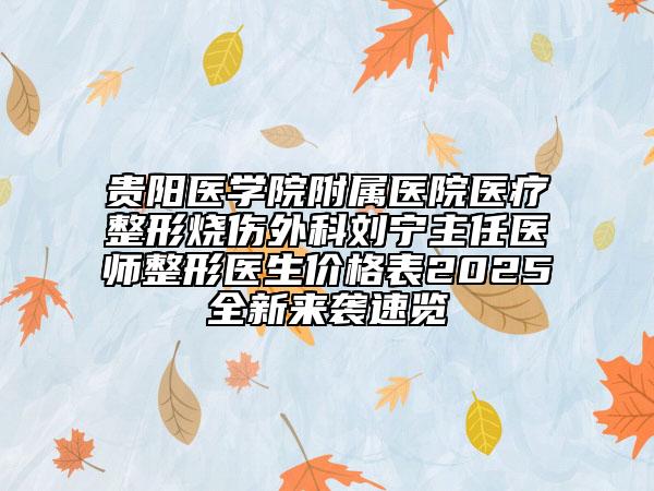 貴陽醫(yī)學院附屬醫(yī)院醫(yī)療整形燒傷外科劉寧主任醫(yī)師整形醫(yī)生價格表2025全新來襲速覽