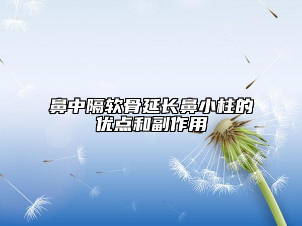 鼻中隔軟骨延長(zhǎng)鼻小柱的優(yōu)點(diǎn)和副作用