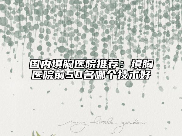國(guó)內(nèi)填胸醫(yī)院推薦：填胸醫(yī)院前50名哪個(gè)技術(shù)好