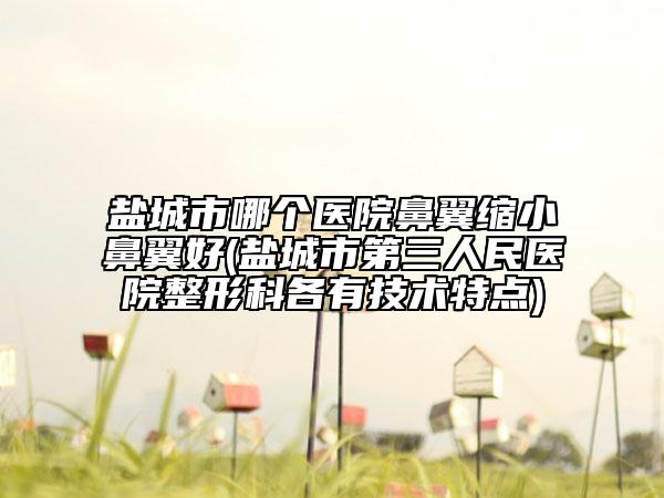 鹽城市哪個(gè)醫(yī)院鼻翼縮小鼻翼好(鹽城市第三人民醫(yī)院整形科各有技術(shù)特點(diǎn))