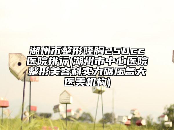 湖州市整形隆胸250cc醫(yī)院排行(湖州市中心醫(yī)院整形美容科實(shí)力碾壓各大醫(yī)美機(jī)構(gòu))
