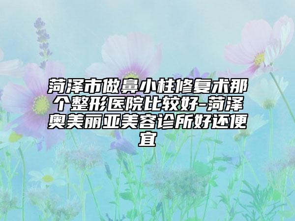 菏澤市做鼻小柱修復術那個整形醫(yī)院比較好-菏澤奧美麗亞美容診所好還便宜