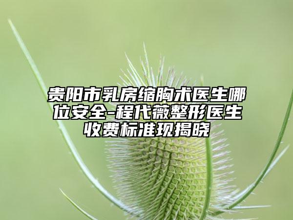 貴陽市乳房縮胸術(shù)醫(yī)生哪位安全-程代薇整形醫(yī)生收費(fèi)標(biāo)準(zhǔn)現(xiàn)揭曉