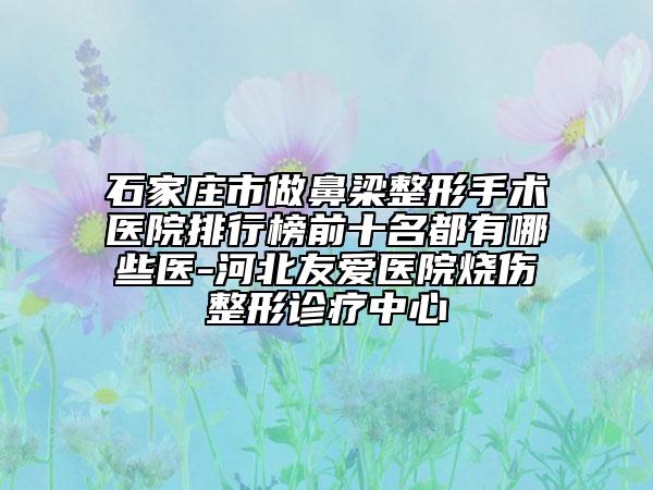 石家莊市做鼻梁整形手術(shù)醫(yī)院排行榜前十名都有哪些醫(yī)-河北友愛(ài)醫(yī)院燒傷整形診療中心