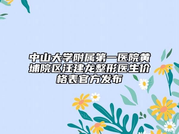 中山大學附屬第一醫(yī)院黃埔院區(qū)汪建龍整形醫(yī)生價格表官方發(fā)布