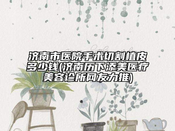 濟(jì)南市醫(yī)院手術(shù)切割植皮多少錢(濟(jì)南歷下添美醫(yī)療美容診所網(wǎng)友力推)