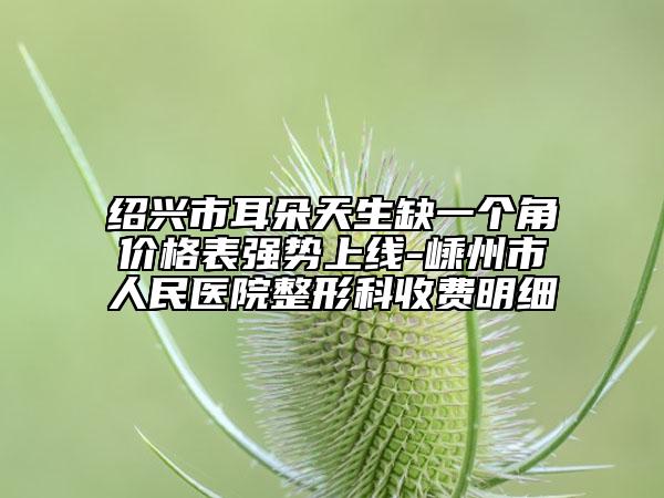 紹興市耳朵天生缺一個(gè)角價(jià)格表強(qiáng)勢(shì)上線-嵊州市人民醫(yī)院整形科收費(fèi)明細(xì)