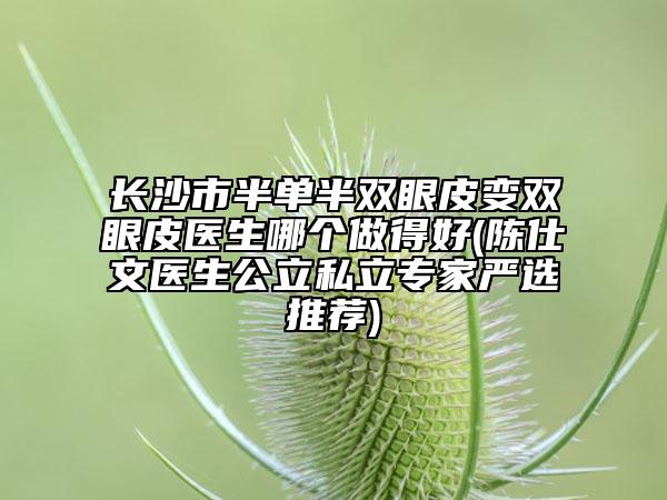 長沙市半單半雙眼皮變雙眼皮醫(yī)生哪個做得好(陳仕文醫(yī)生公立私立專家嚴選推薦)