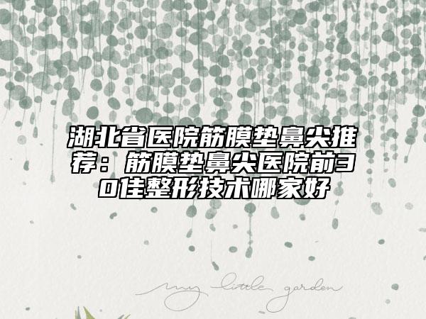 湖北省醫(yī)院筋膜墊鼻尖推薦：筋膜墊鼻尖醫(yī)院前30佳整形技術(shù)哪家好
