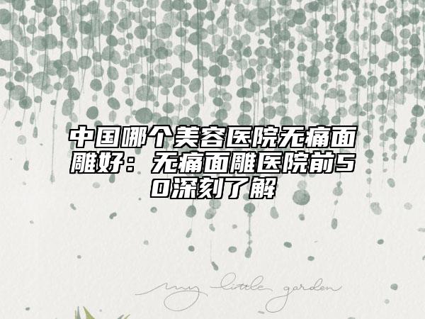 中國哪個美容醫(yī)院無痛面雕好:無痛面雕醫(yī)院前50深刻了解