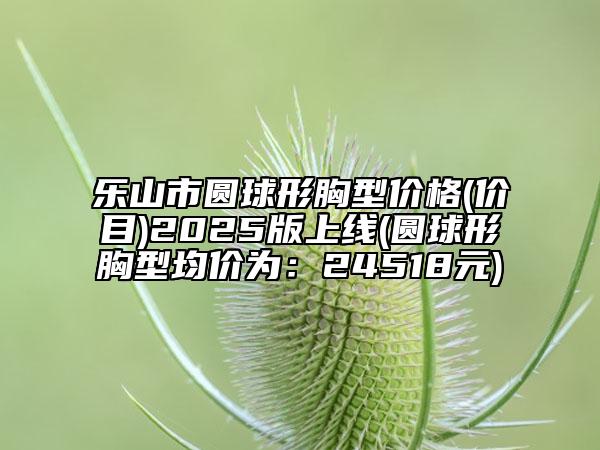 樂山市圓球形胸型價(jià)格(價(jià)目)2025版上線(圓球形胸型均價(jià)為：24518元)