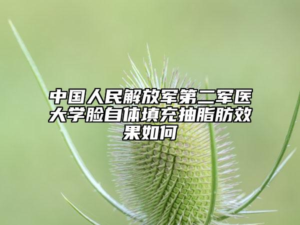 中國人民解放軍第二軍醫(yī)大學臉自體填充抽脂肪效果如何