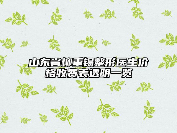 山東省柳重錫整形醫(yī)生價(jià)格收費(fèi)表透明一覽
