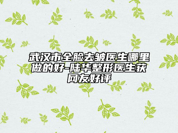 武漢市全臉去皺醫(yī)生哪里做的好-陸華整形醫(yī)生獲網(wǎng)友好評