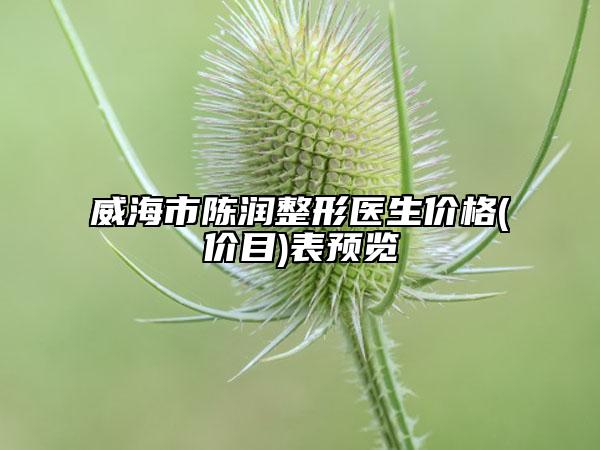 威海市陳潤整形醫(yī)生價格(價目)表預(yù)覽