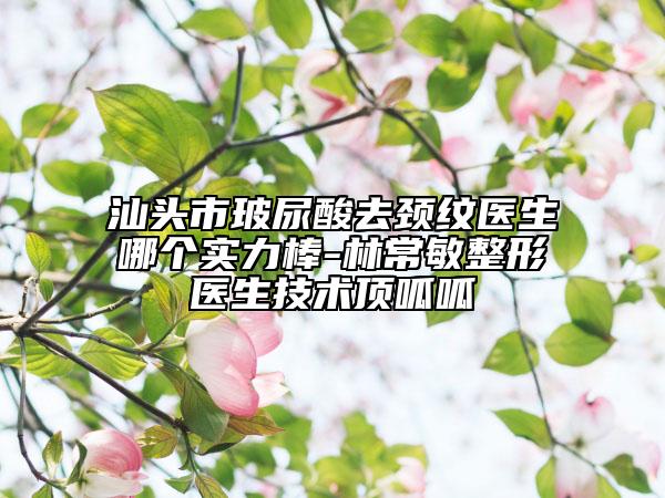 汕頭市玻尿酸去頸紋醫(yī)生哪個(gè)實(shí)力棒-林常敏整形醫(yī)生技術(shù)頂呱呱