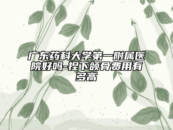 廣東藥科大學(xué)第一附屬醫(yī)院好嗎-捏下頜骨費(fèi)用有多高