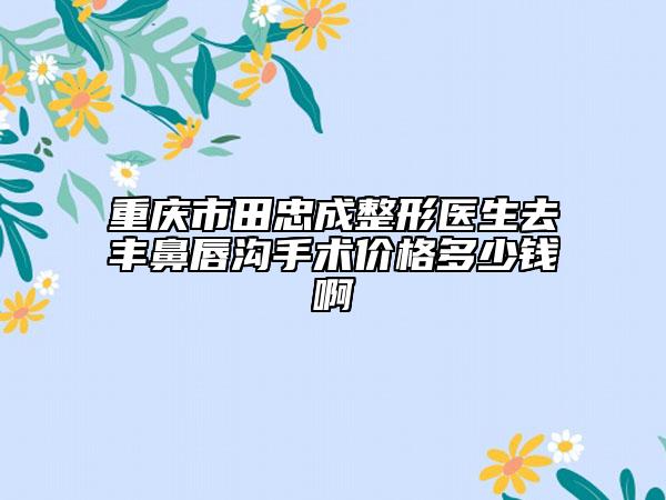 重慶市田忠成整形醫(yī)生去豐鼻唇溝手術(shù)價格多少錢啊