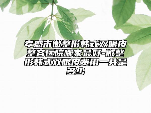 孝感市微整形韓式雙眼皮整容醫(yī)院哪家最好-微整形韓式雙眼皮費用一共是多少