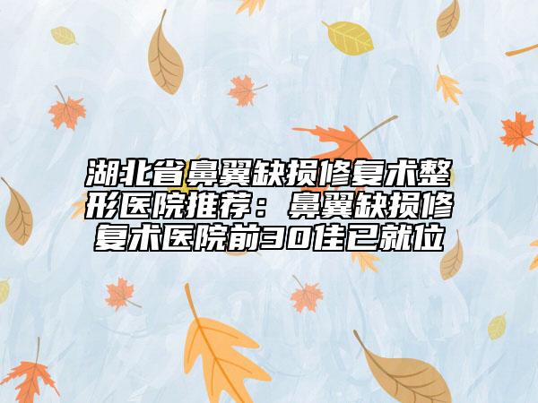 湖北省鼻翼缺損修復術(shù)整形醫(yī)院推薦：鼻翼缺損修復術(shù)醫(yī)院前30佳已就位