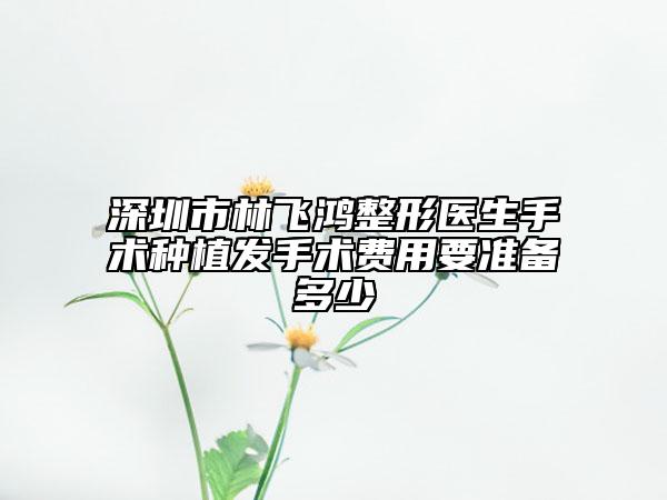 深圳市林飛鴻整形醫(yī)生手術(shù)種植發(fā)手術(shù)費用要準備多少