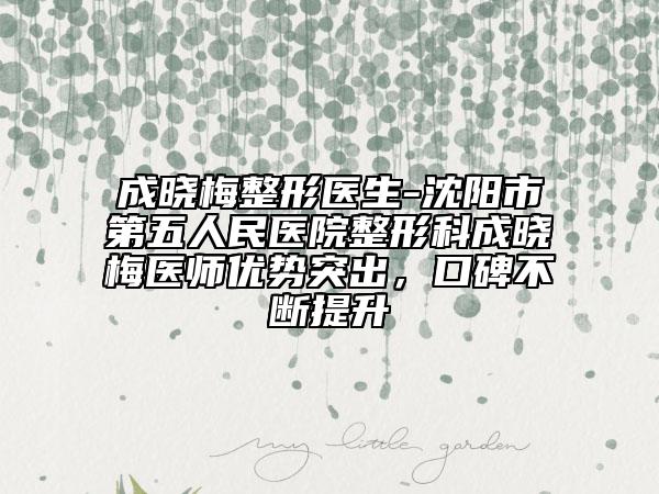 成曉梅整形醫(yī)生-沈陽(yáng)市第五人民醫(yī)院整形科成曉梅醫(yī)師優(yōu)勢(shì)突出，口碑不斷提升