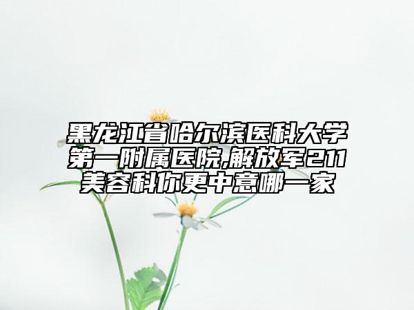 黑龍江省哈爾濱醫(yī)科大學(xué)第一附屬醫(yī)院,解放軍211美容科你更中意哪一家